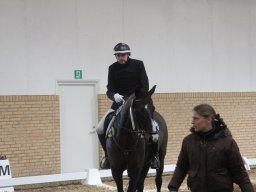 img_6038_web